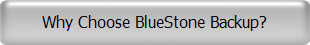 Why Choose BlueStone Backup?